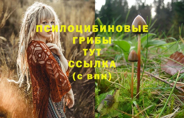 соль курить ск Нея