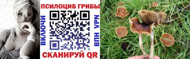 как найти закладки Озёры Галлюциногенные грибы мухоморы