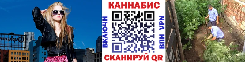 Бошки Шишки марихуана  как найти наркотики  Озёры 